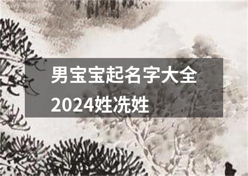 男宝宝起名字大全2024姓冼姓