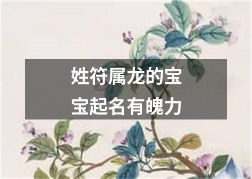 姓符属龙的宝宝起名有魄力