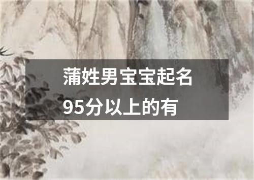 蒲姓男宝宝起名95分以上的有