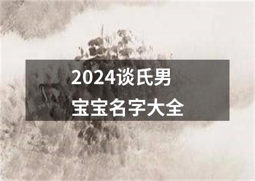 2024谈氏男宝宝名字大全