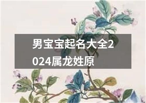 男宝宝起名大全2024属龙姓原