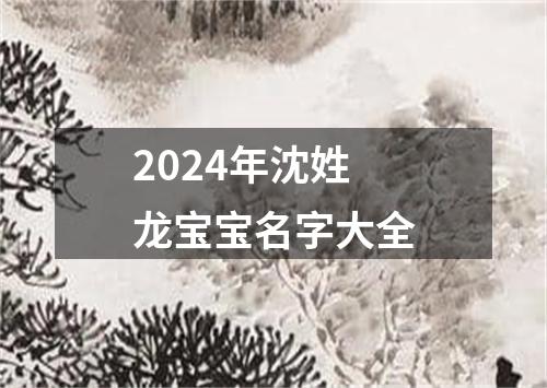 2024年沈姓龙宝宝名字大全