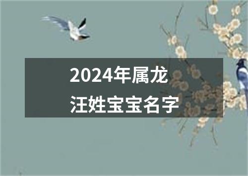 2024年属龙汪姓宝宝名字