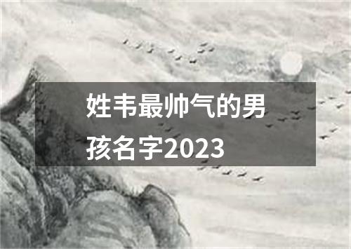 姓韦最帅气的男孩名字2023