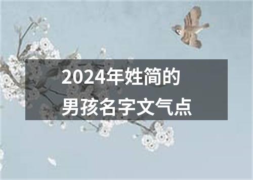 2024年姓简的男孩名字文气点