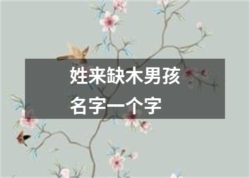 姓来缺木男孩名字一个字