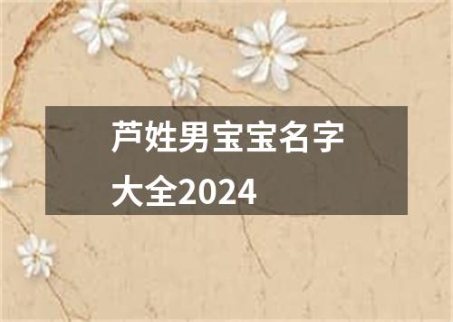 芦姓男宝宝名字大全2024