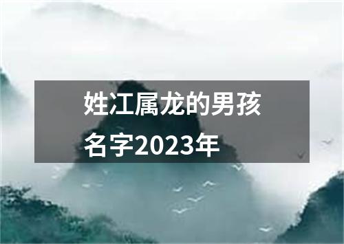 姓冮属龙的男孩名字2023年