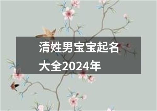 清姓男宝宝起名大全2024年