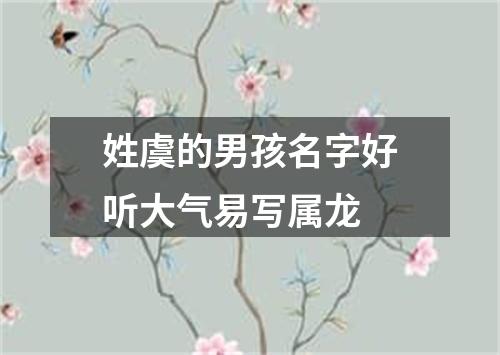 姓虞的男孩名字好听大气易写属龙