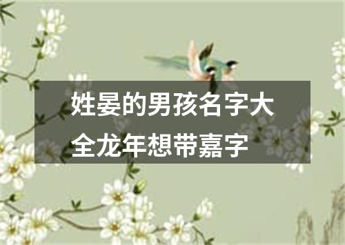 姓晏的男孩名字大全龙年想带嘉字