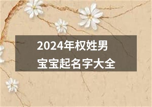 2024年权姓男宝宝起名字大全