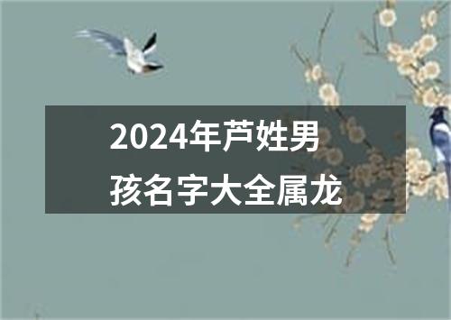 2024年芦姓男孩名字大全属龙