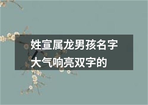 姓宣属龙男孩名字大气响亮双字的