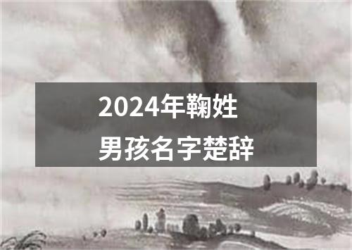 2024年鞠姓男孩名字楚辞