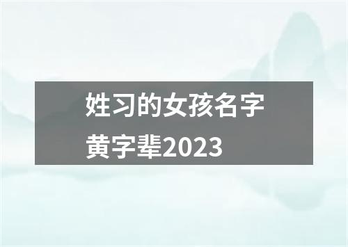 姓习的女孩名字黄字辈2023