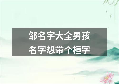 邹名字大全男孩名字想带个桓字