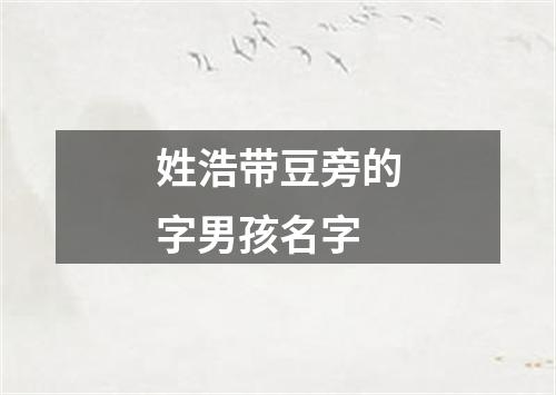 姓浩带豆旁的字男孩名字