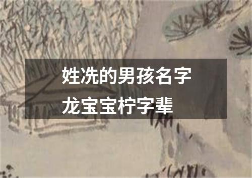 姓冼的男孩名字龙宝宝柠字辈