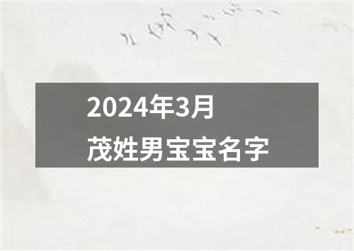 2024年3月茂姓男宝宝名字