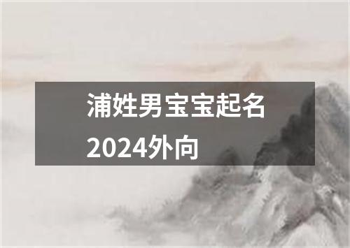 浦姓男宝宝起名2024外向