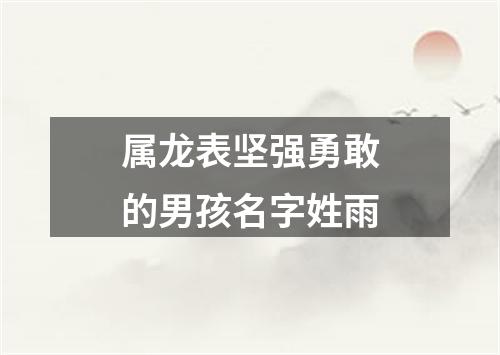 属龙表坚强勇敢的男孩名字姓雨