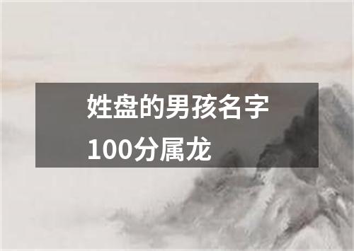 姓盘的男孩名字100分属龙