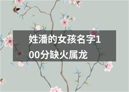 姓潘的女孩名字100分缺火属龙