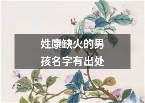 姓康缺火的男孩名字有出处