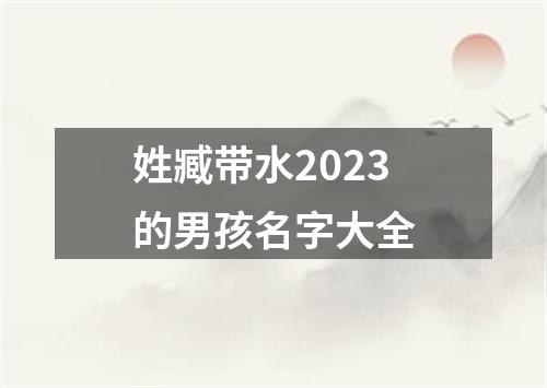 姓臧带水2023的男孩名字大全