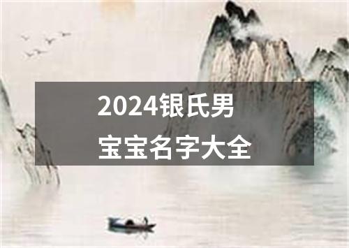 2024银氏男宝宝名字大全