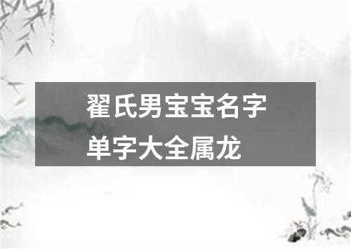 翟氏男宝宝名字单字大全属龙