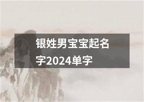 银姓男宝宝起名字2024单字