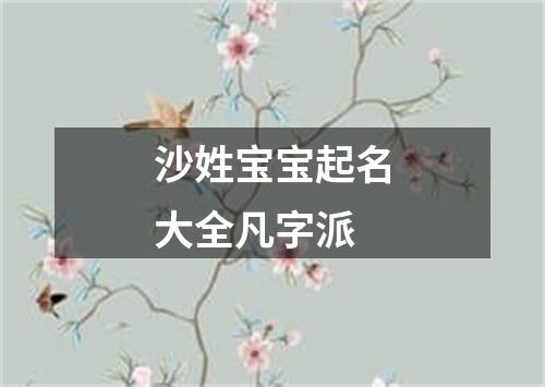 沙姓宝宝起名大全凡字派