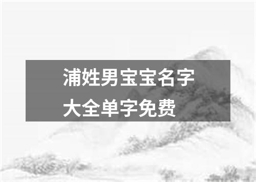 浦姓男宝宝名字大全单字免费