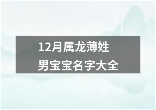 12月属龙薄姓男宝宝名字大全