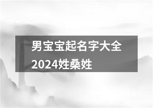 男宝宝起名字大全2024姓桑姓