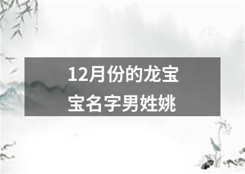 12月份的龙宝宝名字男姓姚