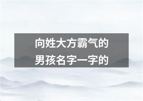 向姓大方霸气的男孩名字一字的