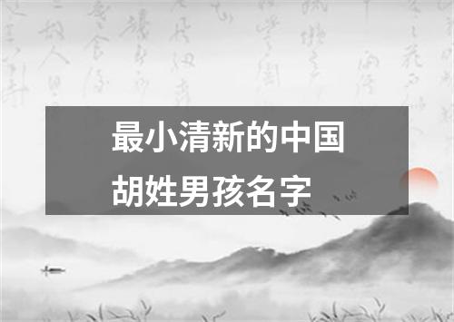 最小清新的中国胡姓男孩名字