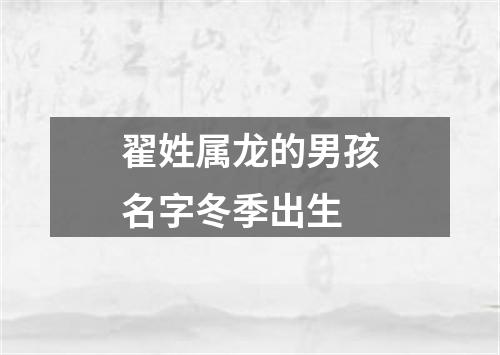 翟姓属龙的男孩名字冬季出生