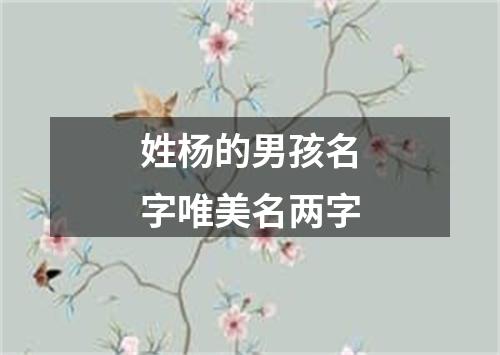 姓杨的男孩名字唯美名两字