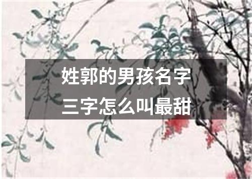 姓郭的男孩名字三字怎么叫最甜