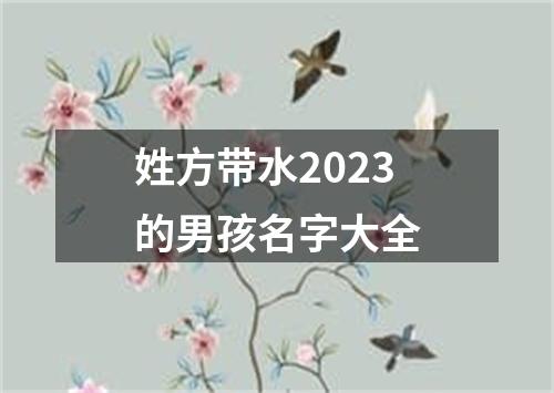 姓方带水2023的男孩名字大全