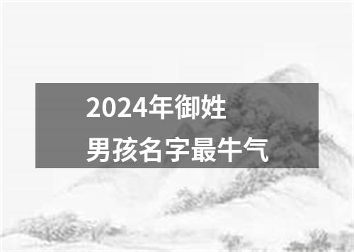 2024年御姓男孩名字最牛气