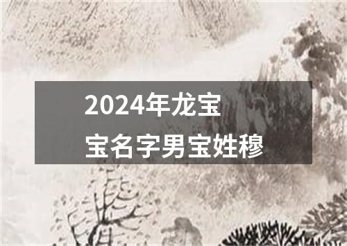 2024年龙宝宝名字男宝姓穆