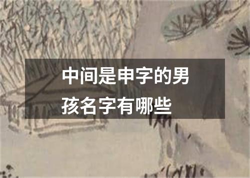 中间是申字的男孩名字有哪些