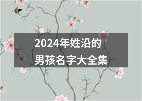 2024年姓沿的男孩名字大全集