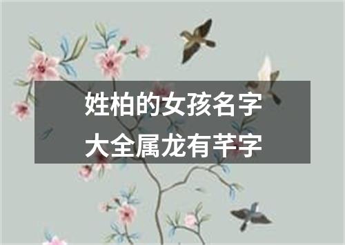 姓柏的女孩名字大全属龙有芊字