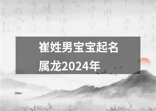 崔姓男宝宝起名属龙2024年